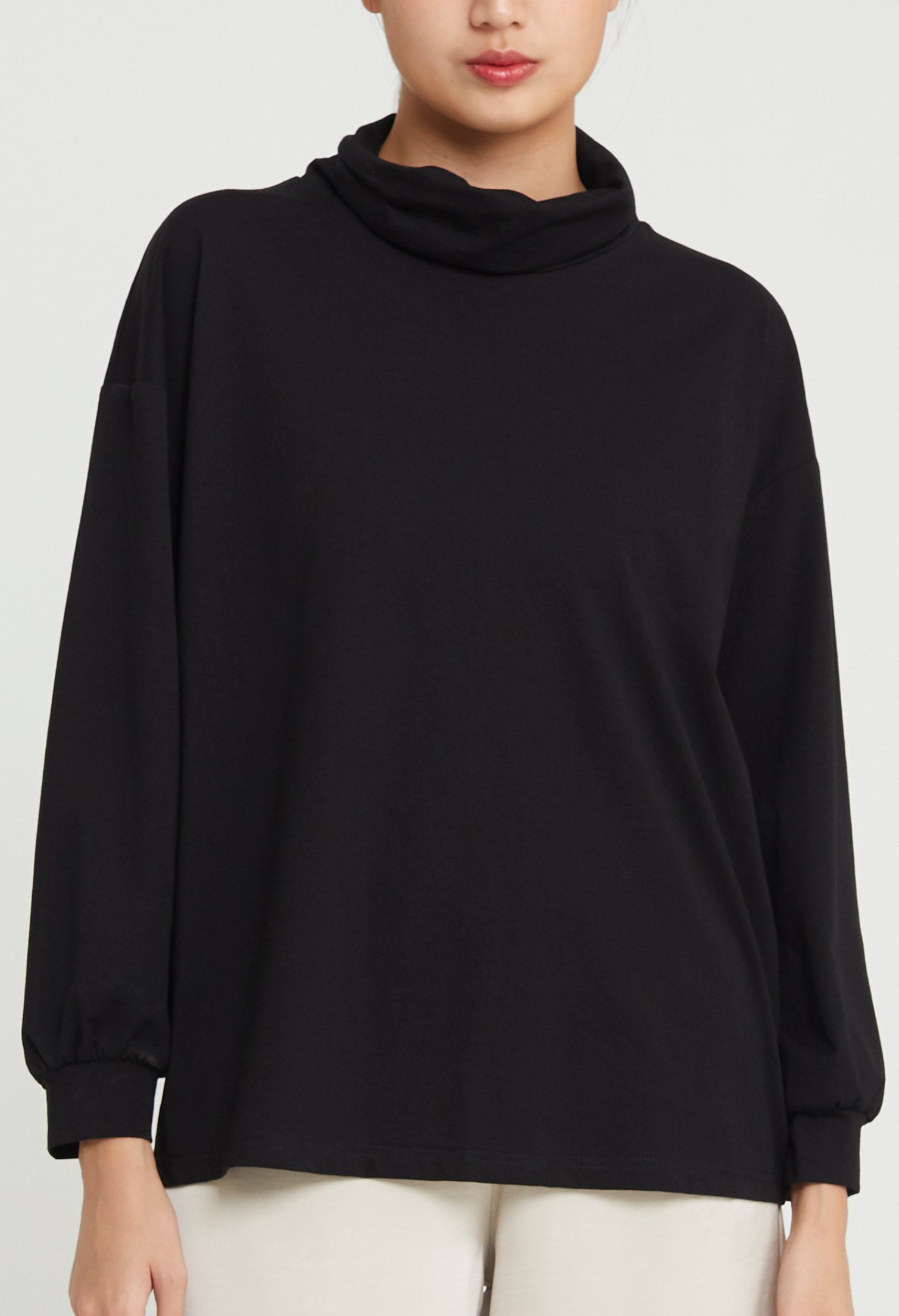 Casual Long Sleeves Turtle-Neck Top