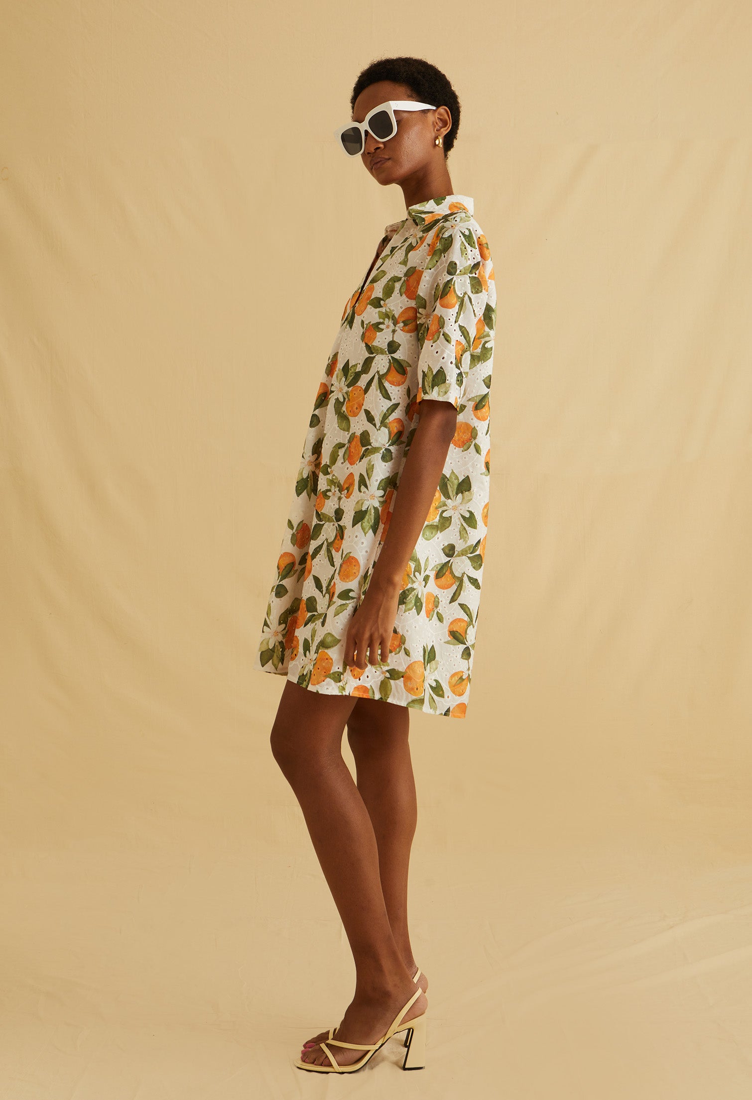 Sorrento Muse Mini Dress